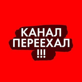 TarikNezalejko️️💡